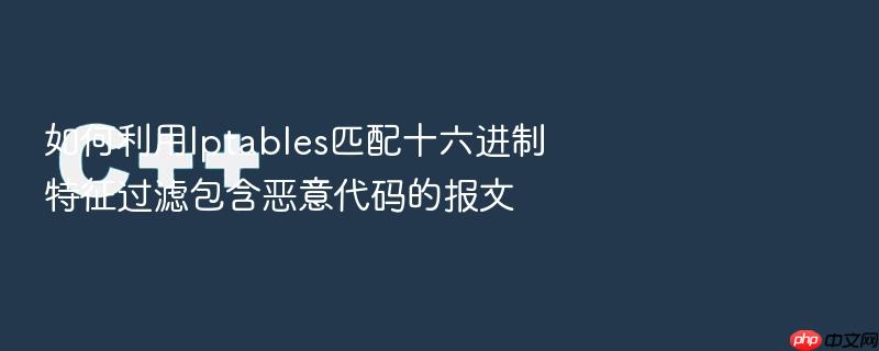 如何利用iptables匹配十六进制特征过滤包含恶意代码的报文