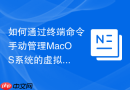 如何通过终端命令手动管理MacOS系统的虚拟内存Swap文件大小