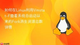 如何在linux利用vmstat-f查看系统自启动以来的fork派生资源总数详情