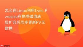 怎么在linux利用lvm-pvresize在物理磁盘底层扩容后同步更新pv元数据