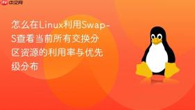 怎么在linux利用swap-s查看当前所有交换分区资源的利用率与优先级分布