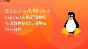怎么在linux利用lvm-snapshot实现逻辑卷的在线数据快照以保障备份一致性