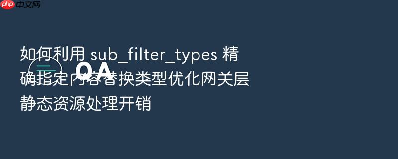 如何利用 sub_filter_types 精确指定内容替换类型优化网关层静态资源处理开销