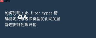 如何利用 sub_filter_types 精确指定内容替换类型优化网关层静态资源处理开销