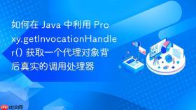 如何在 java 中利用 proxy.getinvocationhandler() 获取一个代理对象背后真实的调用处理器