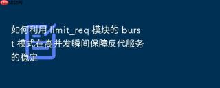 如何利用 limit_req 模块的 burst 模式在高并发瞬间保障反代服务的稳定