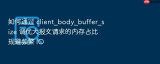 如何通过 client_body_buffer_size 调优大报文请求的内存占比规避频繁 io