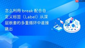 怎么利用 break 配合自定义标签（label）从深层嵌套的多重循环中直接跳出