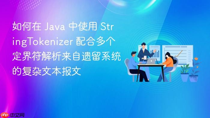 如何在 java 中使用 stringtokenizer 配合多个定界符解析来自遗留系统的复杂文本报文