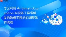 怎么利用 arithmeticexception 实现基于异常触发的数值范围动态调整采样流程