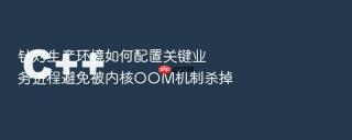 针对生产环境如何配置关键业务进程避免被内核oom机制杀掉