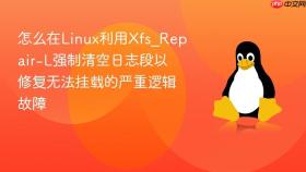 怎么在linux利用xfs_repair-l强制清空日志段以修复无法挂载的严重逻辑故障