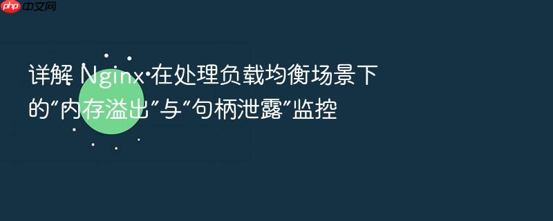 详解 nginx 在处理负载均衡场景下的“内存溢出”与“句柄泄露”监控