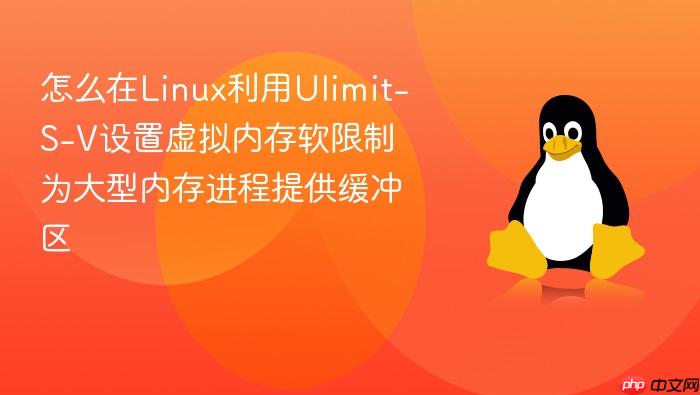 怎么在linux利用ulimit-s-v设置虚拟内存软限制为大型内存进程提供缓冲区
