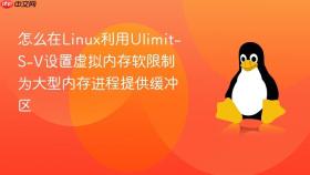 怎么在Linux利用Ulimit-S-V设置虚拟内存软限制为大型内存进程提供缓冲区