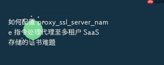 如何配置 proxy_ssl_server_name 指令处理代理至多租户 saas 存储的证书难题