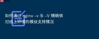 如何通过 nginx -v 与 -v 精确核对线上环境的模块支持情况