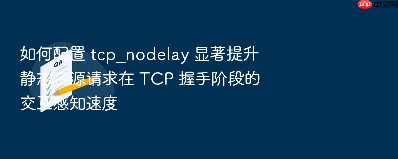 如何配置 tcp_nodelay 显著提升静态资源请求在 tcp 握手阶段的交互感知速度