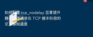 如何配置 tcp_nodelay 显著提升静态资源请求在 tcp 握手阶段的交互感知速度
