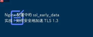 nginx 配置中的 ssl_early_data 实战：如何安全地加速 tls 1.3