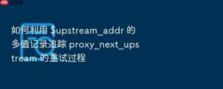 如何利用 $upstream_addr 的多值记录追踪 proxy_next_upstream 的重试过程