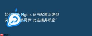 如何解决 nginx 证书配置正确但浏览器依然提示“此连接非私密”