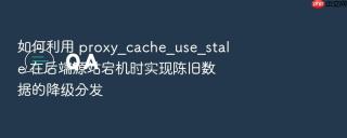如何利用 proxy_cache_use_stale 在后端源站宕机时实现陈旧数据的降级分发