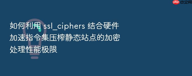 如何利用 ssl_ciphers 结合硬件加速指令集压榨静态站点的加密处理性能极限
