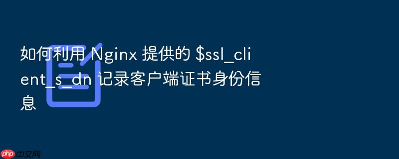 如何利用 nginx 提供的 $ssl_client_s_dn 记录客户端证书身份信息