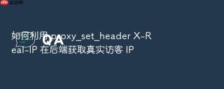 如何利用 proxy_set_header x-real-ip 在后端获取真实访客 ip