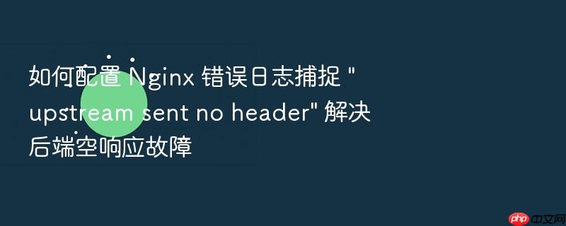 如何配置 nginx 错误日志捕捉 \