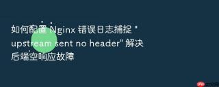 如何配置 nginx 错误日志捕捉 \