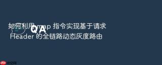如何利用 map 指令实现基于请求 header 的全链路动态灰度路由