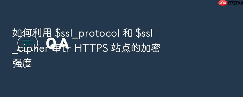 如何利用 $ssl_protocol 和 $ssl_cipher 审计 https 站点的加密强度