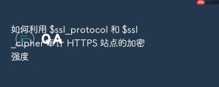 如何利用 $ssl_protocol 和 $ssl_cipher 审计 https 站点的加密强度
