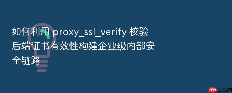 如何利用 proxy_ssl_verify 校验后端证书有效性构建企业级内部安全链路