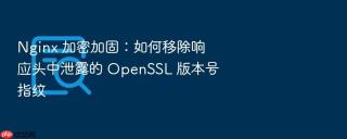 nginx 加密加固:如何移除响应头中泄露的 openssl 版本号指纹