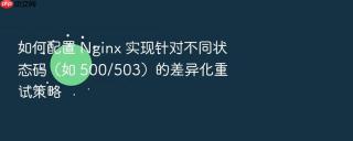 如何配置 nginx 实现针对不同状态码(如 500/503)的差异化重试策略