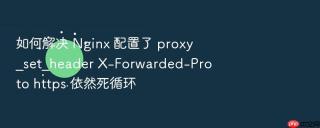 如何解决 nginx 配置了 proxy_set_header x-forwarded-proto https 依然死循环