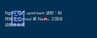 nginx 动态 upstream 进阶：如何结合 consul 或 nacos 实现自动服务发现