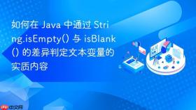 如何在 java 中通过 string.isempty() 与 isblank() 的差异判定文本变量的实质内容