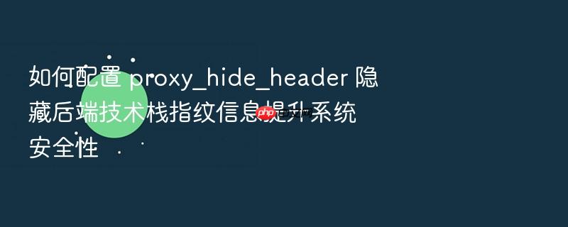 如何配置 proxy_hide_header 隐藏后端技术栈指纹信息提升系统安全性