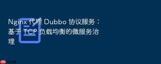 nginx 代理 dubbo 协议服务:基于 tcp 负载均衡的微服务治理