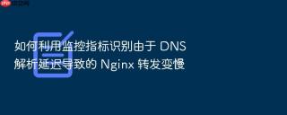 如何利用监控指标识别由于 dns 解析延迟导致的 nginx 转发变慢