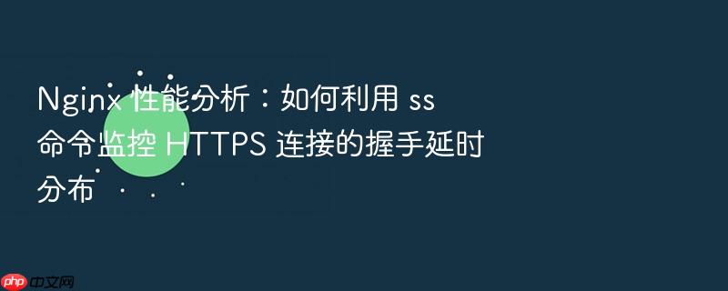 nginx 性能分析:如何利用 ss 命令监控 https 连接的握手延时分布