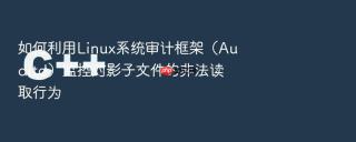 如何利用Linux系统审计框架（Auditd）监控对影子文件的非法读取行为