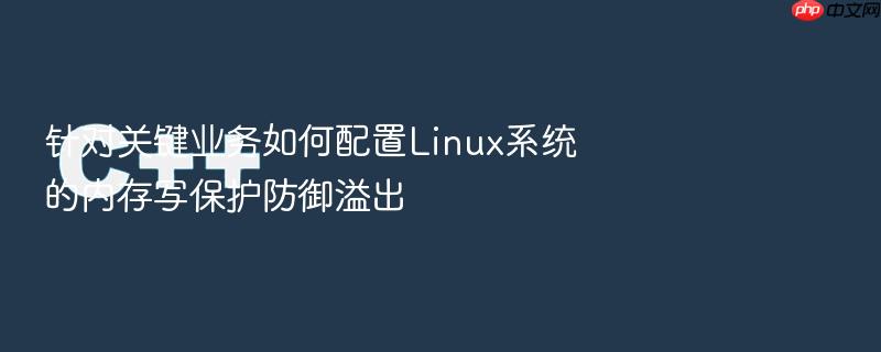 针对关键业务如何配置linux系统的内存写保护防御溢出