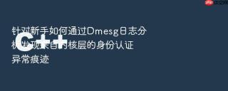 针对新手如何通过Dmesg日志分析发现来自内核层的身份认证异常痕迹