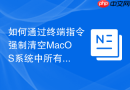 如何通过终端指令强制清空MacOS系统中所有顽固缓存项