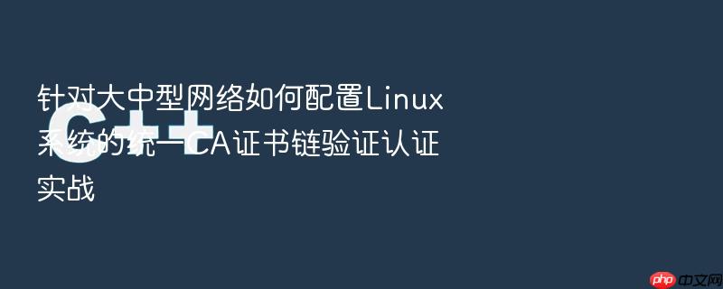 针对大中型网络如何配置linux系统的统一ca证书链验证认证实战